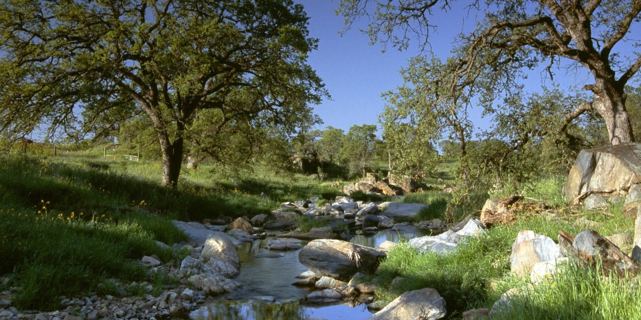 DANGER: RADIOACTIVE  – Do Not Drink More than 63,000 Gallons of Water